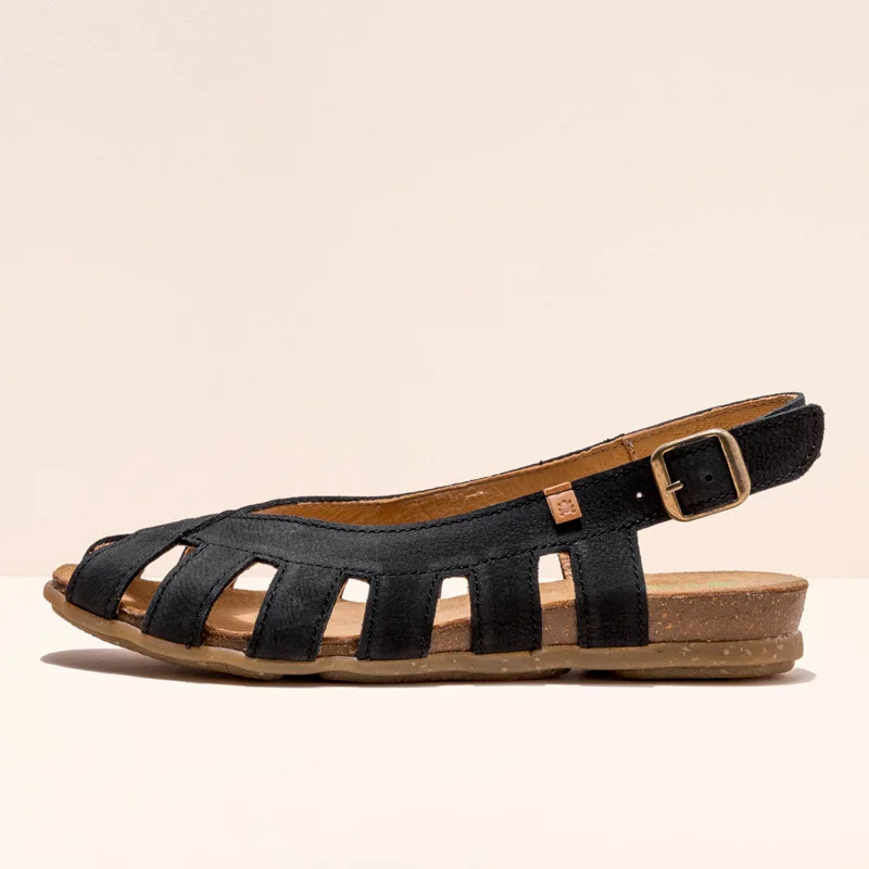 El Naturalista Stella N5213